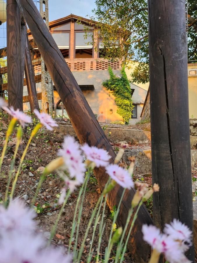Il Giuggiolo - La Collina Della Quiete Bed and Breakfast Certaldo Εξωτερικό φωτογραφία