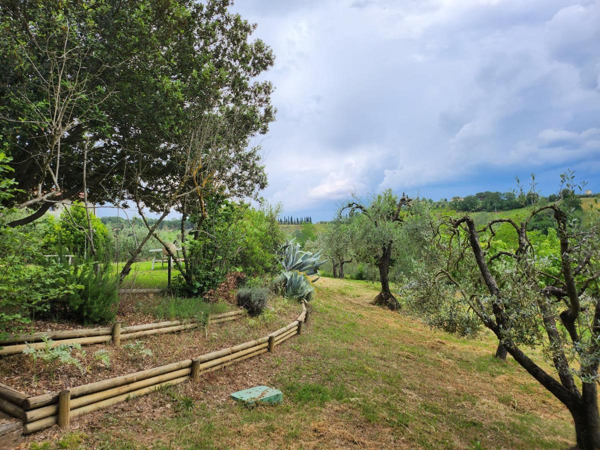 Il Giuggiolo - La Collina Della Quiete Bed and Breakfast Certaldo Εξωτερικό φωτογραφία
