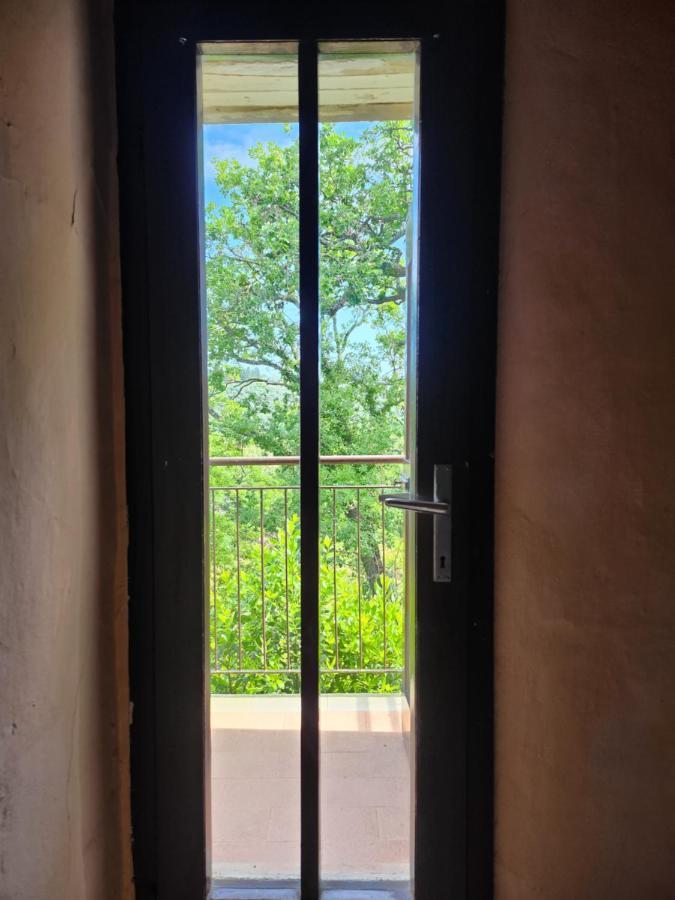 Il Giuggiolo - La Collina Della Quiete Bed and Breakfast Certaldo Εξωτερικό φωτογραφία
