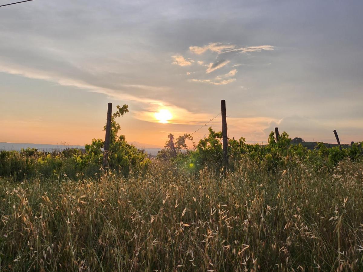 Il Giuggiolo - La Collina Della Quiete Bed and Breakfast Certaldo Εξωτερικό φωτογραφία